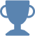 Professional Icon